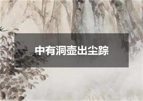 中有洞壶出尘踪