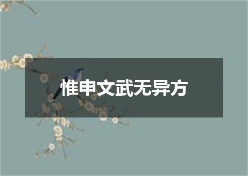 惟申文武无异方