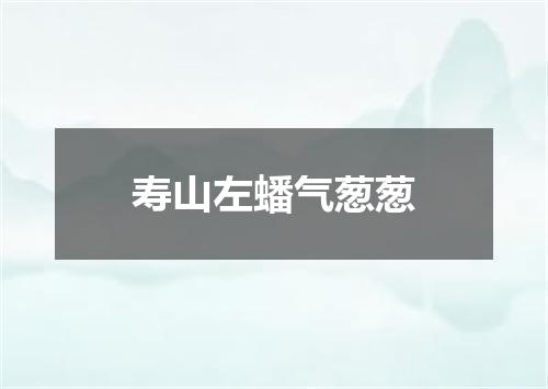 寿山左蟠气葱葱