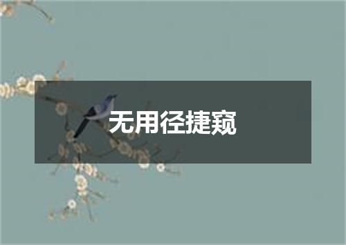无用径捷窥