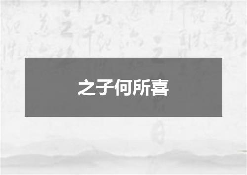 之子何所喜