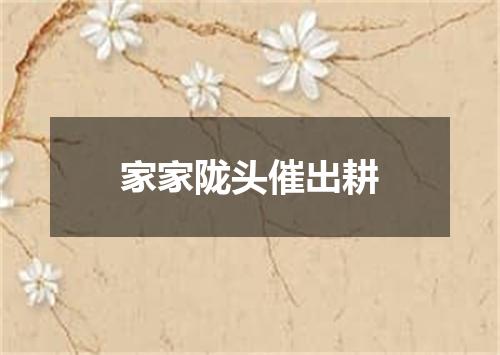 家家陇头催出耕