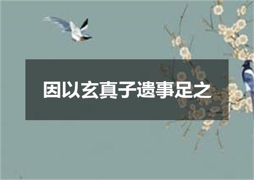 因以玄真子遗事足之