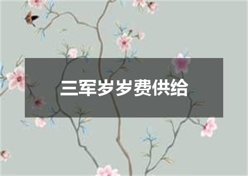 三军岁岁费供给
