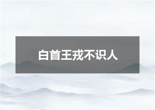 白首王戎不识人