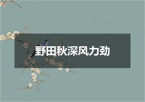 野田秋深风力劲