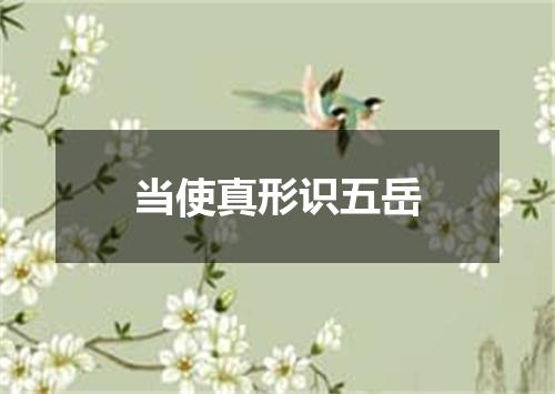 当使真形识五岳