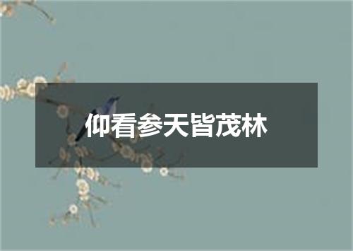 仰看参天皆茂林