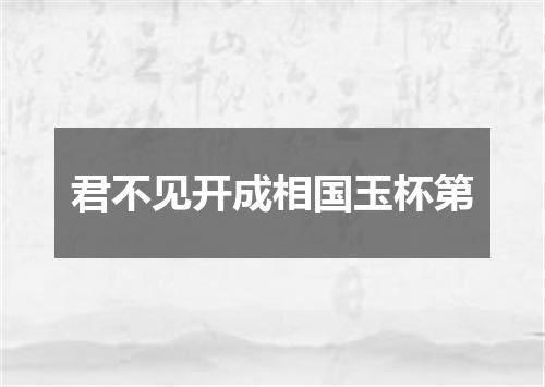 君不见开成相国玉杯第