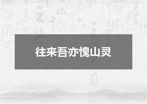 往来吾亦愧山灵