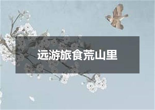 远游旅食荒山里