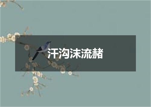 汗沟沫流赭