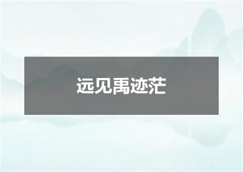 远见禹迹茫