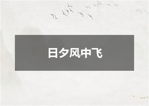 日夕风中飞