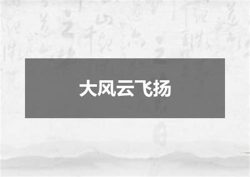 大风云飞扬