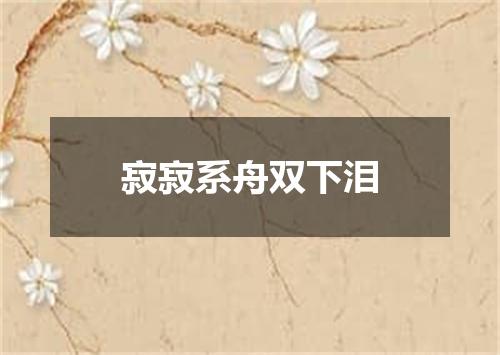 寂寂系舟双下泪