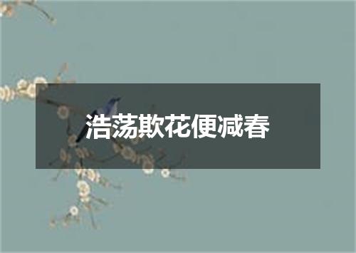 浩荡欺花便减春