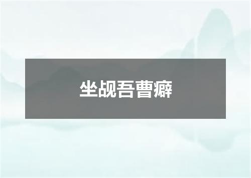 坐觇吾曹癖