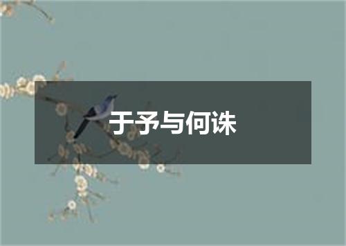 于予与何诛