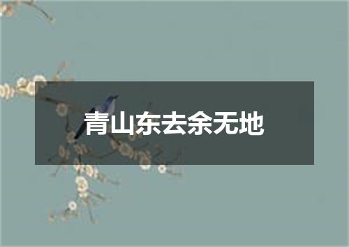 青山东去余无地