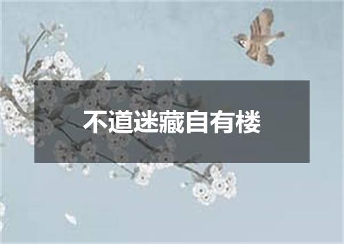 不道迷藏自有楼