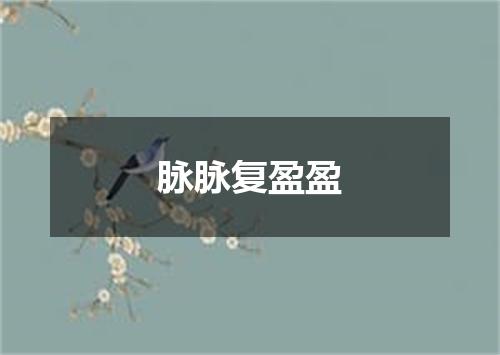 脉脉复盈盈
