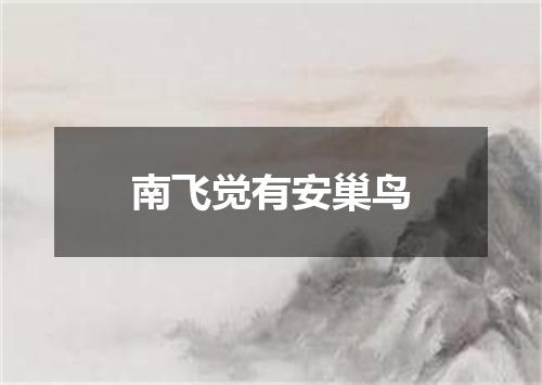 南飞觉有安巢鸟