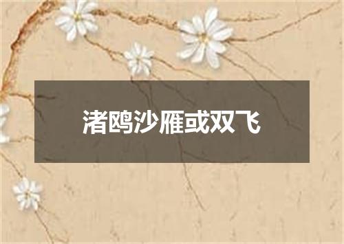 渚鸥沙雁或双飞