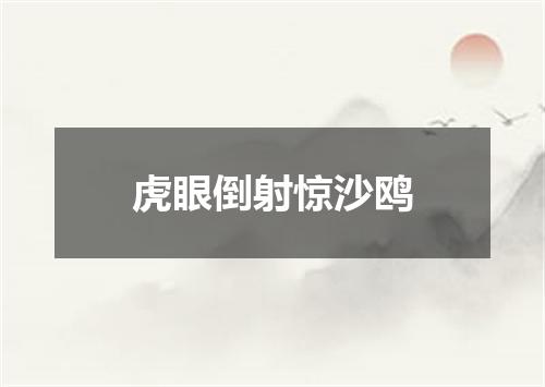 虎眼倒射惊沙鸥