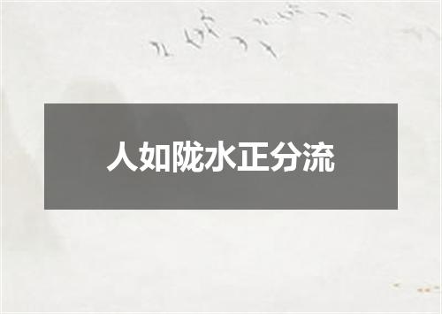 人如陇水正分流