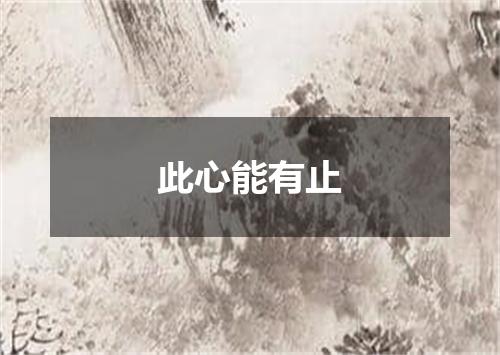 此心能有止