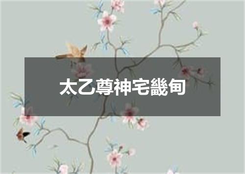 太乙尊神宅畿甸