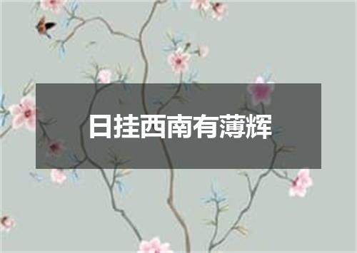 日挂西南有薄辉