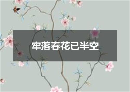 牢落春花已半空