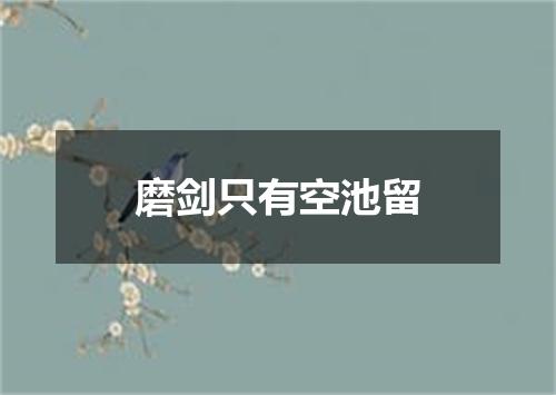 磨剑只有空池留
