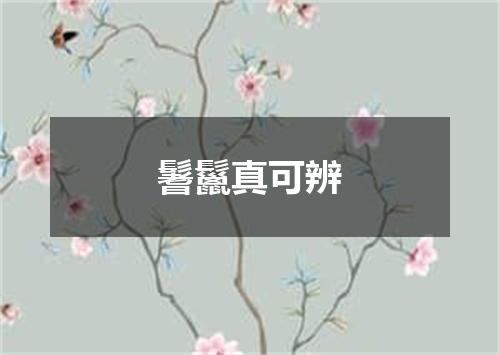 鬐鬣真可辨