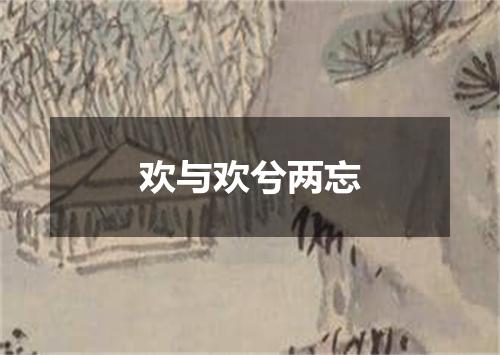 欢与欢兮两忘