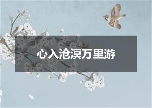 心入沧溟万里游
