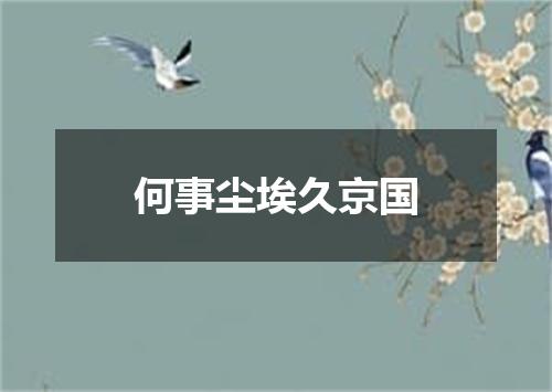 何事尘埃久京国
