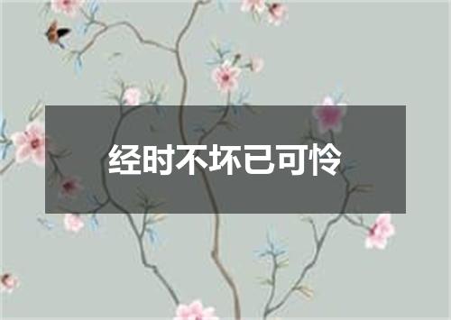 经时不坏已可怜