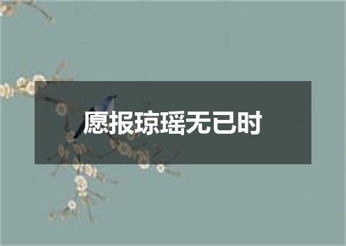 愿报琼瑶无已时