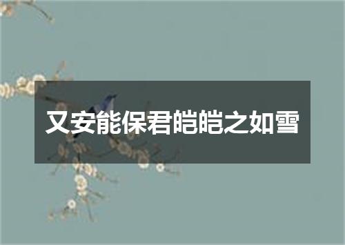 又安能保君皑皑之如雪