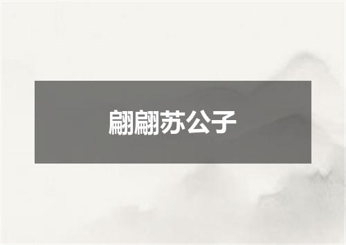 翩翩苏公子