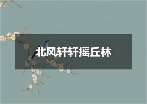 北风轩轩摇丘林