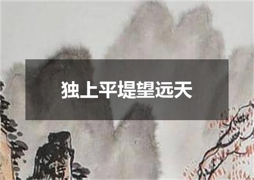 独上平堤望远天