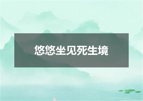 悠悠坐见死生境