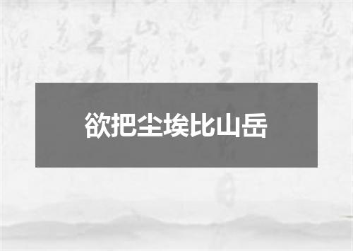 欲把尘埃比山岳