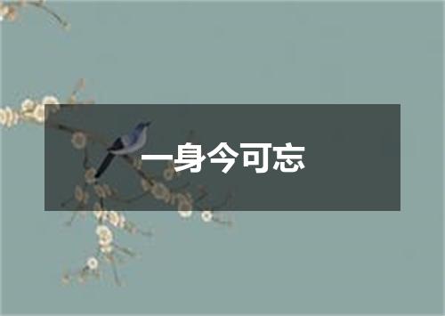 一身今可忘