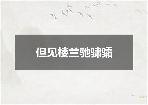 但见楼兰驰骕骦