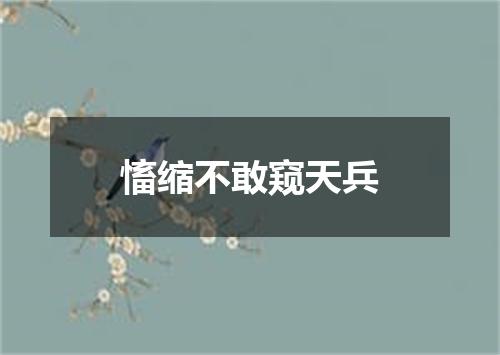 慉缩不敢窥天兵